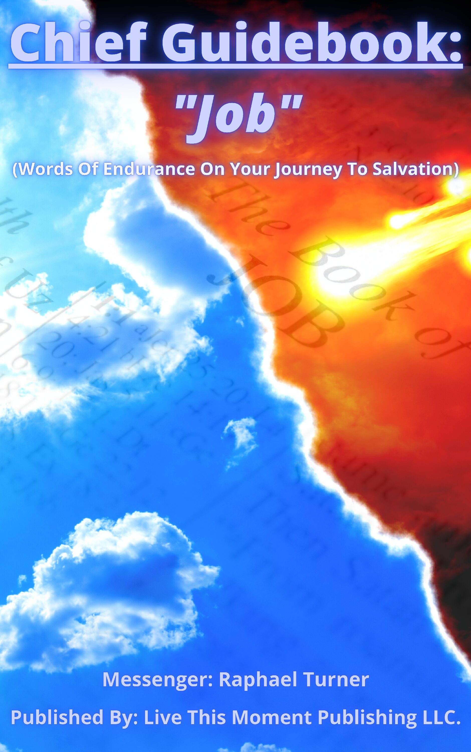 Chief Guidebook: "Job" (EBOOK)