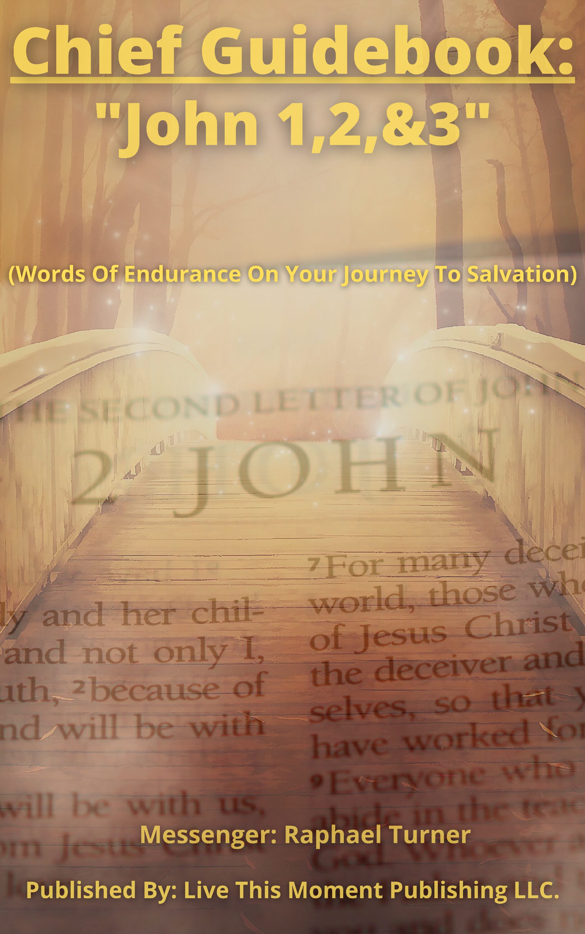 Chief Guidebook: " John 1, 2, 3" (EBOOK)
