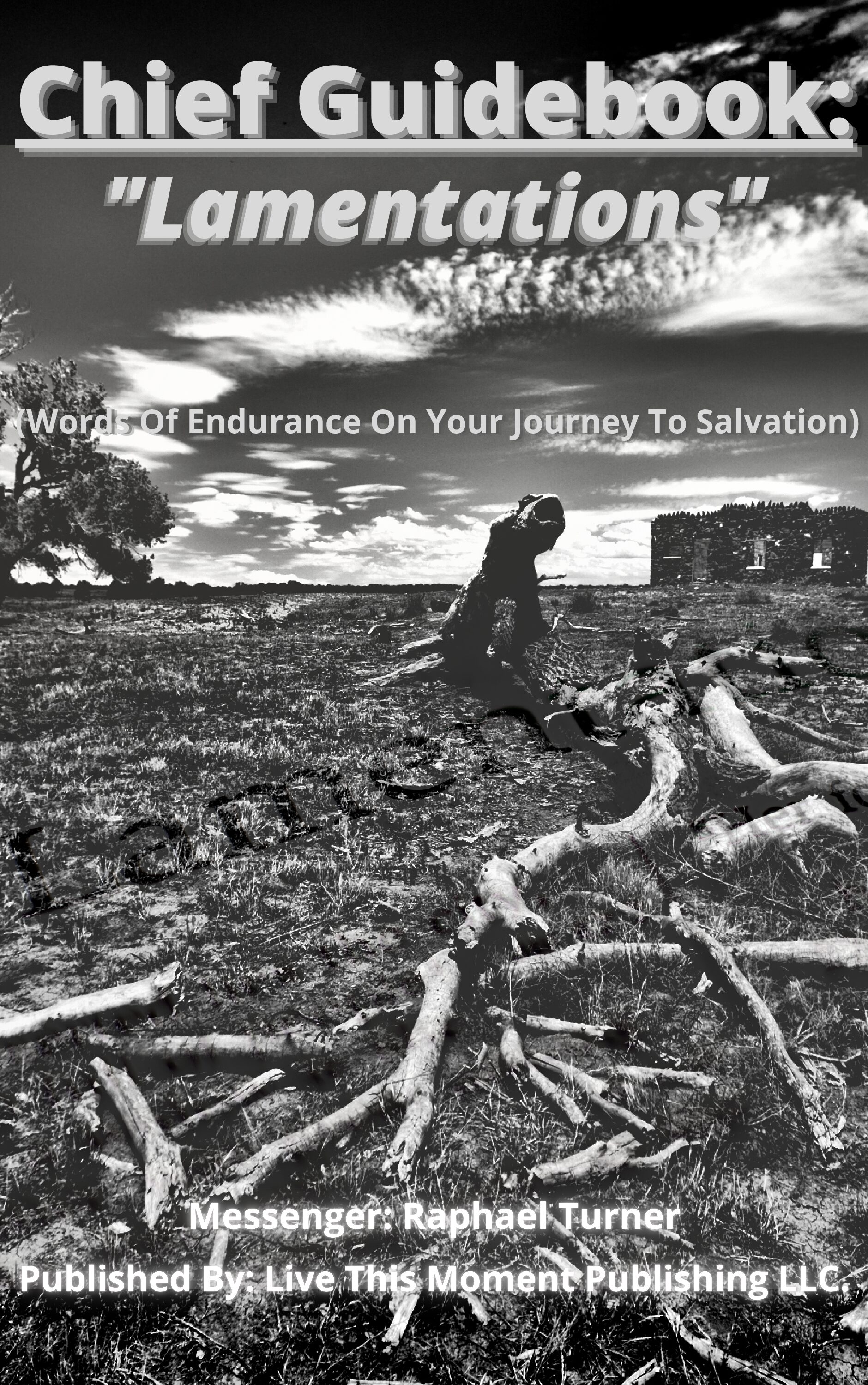 Chief Guidebook: "Lamentations" (EBOOK)