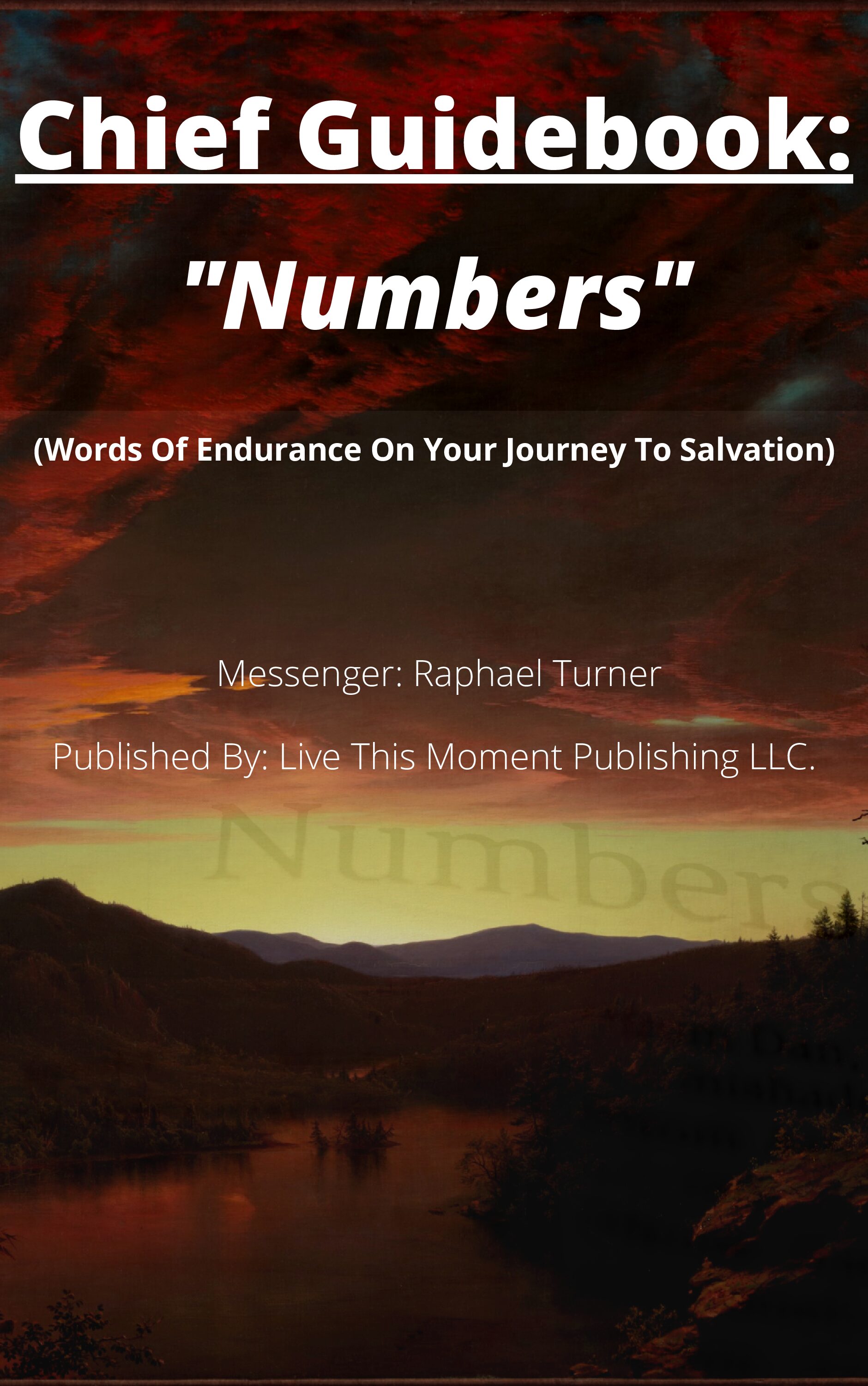 Chief Guidebook: "Numbers" (EBOOK)